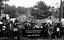Image of Black Lives Matter Seattle-King County