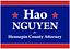 Image of Hao Nguyen
