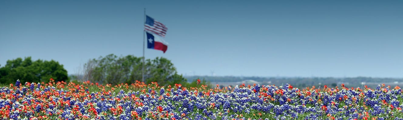 Llano County Democratic Club (TX)